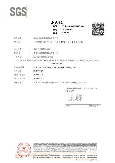SGS Mechanical Property Test — first page preview
